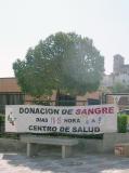 donantes_sangre_001