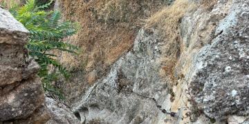 2024-agosto-marchando-por-sus-rocas