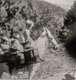 Hijo de un resinero del cortijo Loma Ubares, Almijara