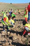 2015_Plantacion_inertes_Alhama_001
