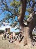 ceip-cervantes-semana-medioambiente-junio-2023_015