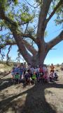 ceip-cervantes-semana-medioambiente-junio-2023_018