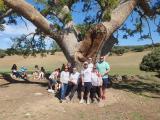 ceip-cervantes-semana-medioambiente-junio-2023_020