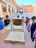 ceip-cervantes-taller-apicultura-abril-2023_003