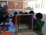 ceip-cervantes-taller-apicultura-abril-2023_004