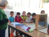 ceip-cervantes-taller-apicultura-abril-2023_005