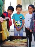 ceip-cervantes-taller-apicultura-abril-2023_007