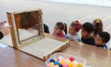 ceip-cervantes-taller-apicultura-abril-2023_010