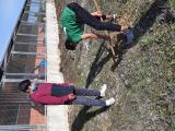 adopta_una_bellota_marzo_2021_004