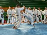 curso_toledo_nov_2023_03