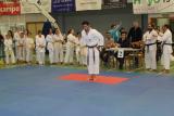 kuro_obi_arbol_eloy_ruiz_nov_2024_08