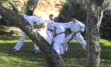 Captura de pantalla 2014-07-18 12.37.42