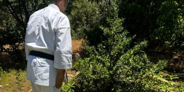 2024-plantacion-arboles-agosto
