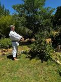 arboles_karate_agosto_2024_02