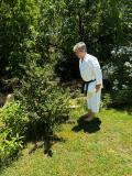 arboles_karate_agosto_2024_03