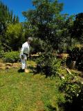 arboles_karate_agosto_2024_04