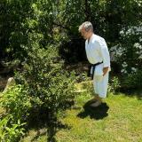 arboles_karate_agosto_2024