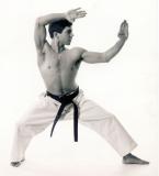 antonio_ippon