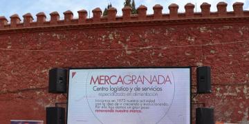2022-33-prueba-de-fondo