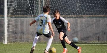 alevin-b