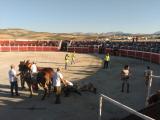 toros_10092016_16