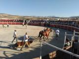 toros_10092016_19