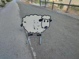 feria_sep_2021_1_010