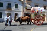 romeria_2024_17agosto_051
