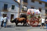 romeria_2024_17agosto_052