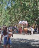 romeria_2024_17agosto_070