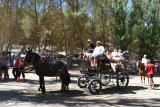 romeria_2024_17agosto_082