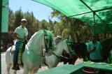 romeria_2024_17agosto_091