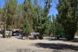 romeria_2024_17agosto_103