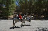 romeria_2024_17agosto_105