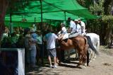 romeria_2024_17agosto_108