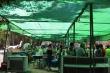 romeria_2024_17agosto_116