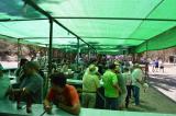romeria_2024_17agosto_118