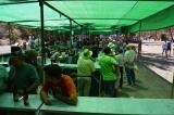 romeria_2024_17agosto_119