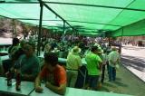 romeria_2024_17agosto_120