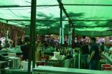 romeria_2024_17agosto_121