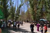 romeria_2024_17agosto_124