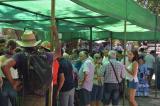 romeria_2024_17agosto_135