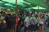 romeria_2024_17agosto_136