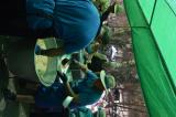 romeria_2024_17agosto_148