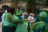 romeria_2024_17agosto_152