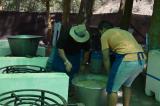 romeria_2024_17agosto_161