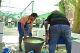 romeria_2024_17agosto_175