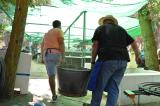 romeria_2024_17agosto_176