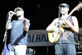 49_festival_2014_602