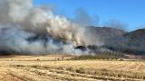 incendio_dona_15072024_09_